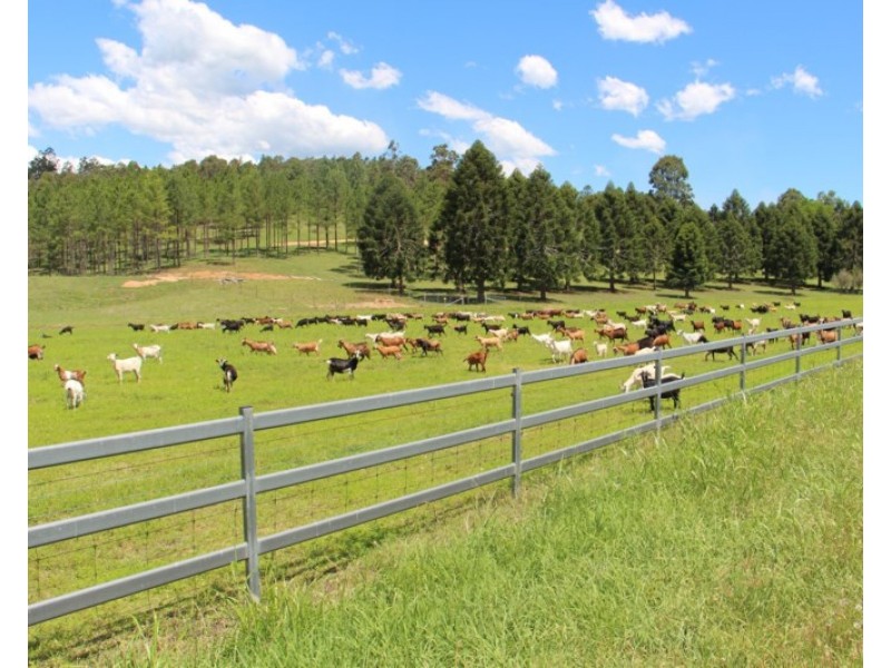 10765 Mount Lindesay Highway, Palen Creek QLD 4287