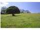 Lot 1 2239 Beechmont Road, Beechmont QLD 4211