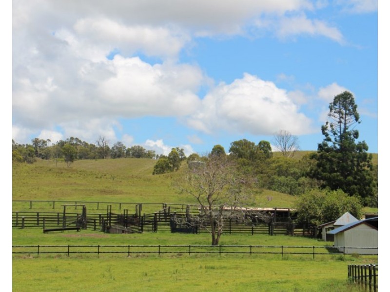 56 Haack Road, Lamington QLD 4285