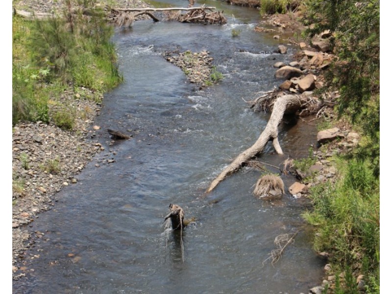 56 Haack Road, Lamington QLD 4285