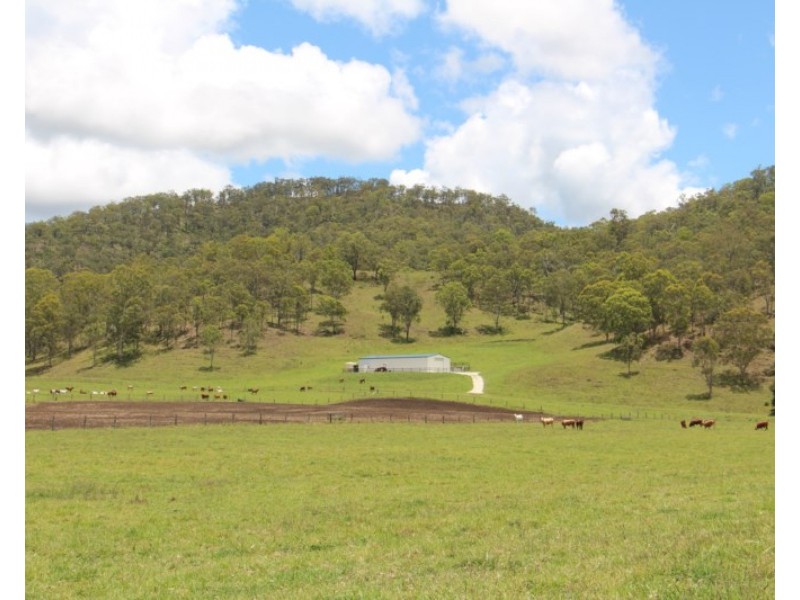 56 Haack Road, Lamington QLD 4285