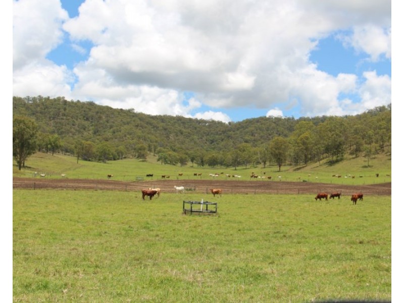 56 Haack Road, Lamington QLD 4285