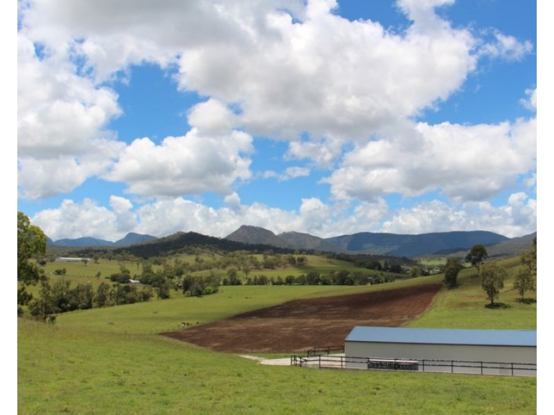 56 Haack Road, Lamington QLD 4285