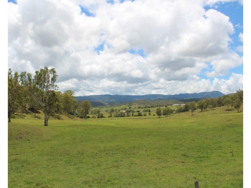 56 Haack Road, Lamington QLD 4285