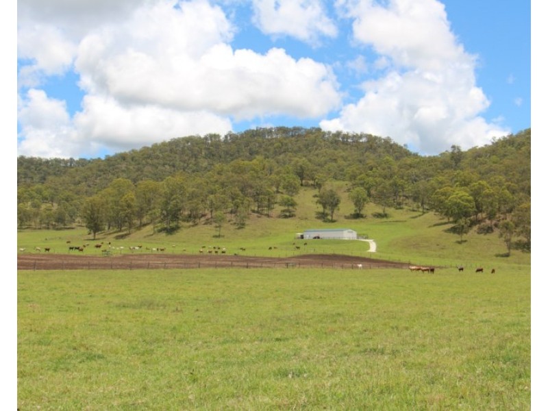 56 Haack Road, Lamington QLD 4285