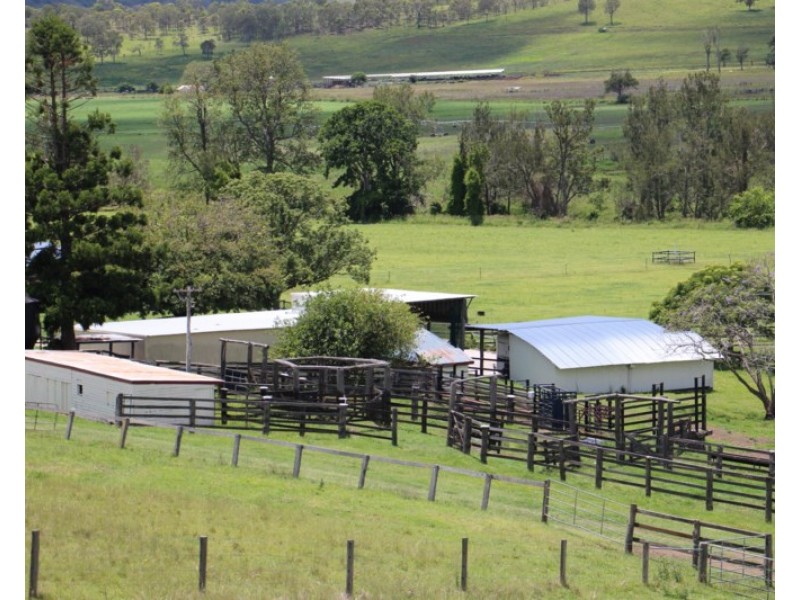 56 Haack Road, Lamington QLD 4285