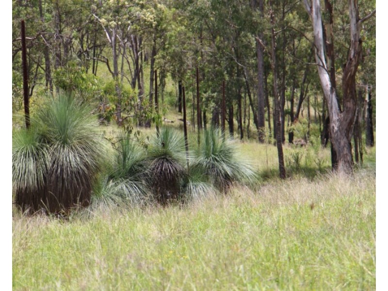 56 Haack Road, Lamington QLD 4285