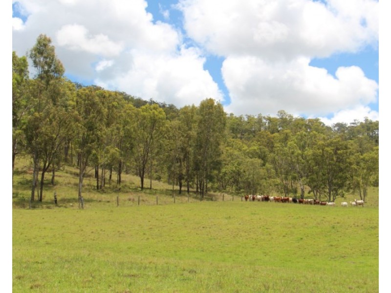 56 Haack Road, Lamington QLD 4285