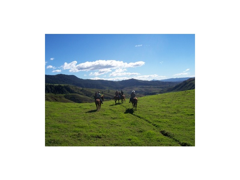 1604 Running Creek Road, Running Creek QLD 4287