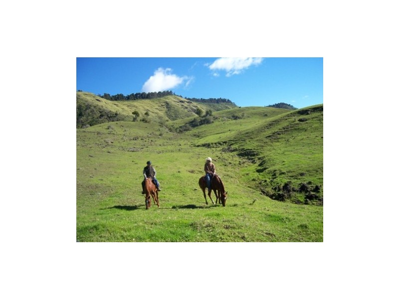 1604 Running Creek Road, Running Creek QLD 4287