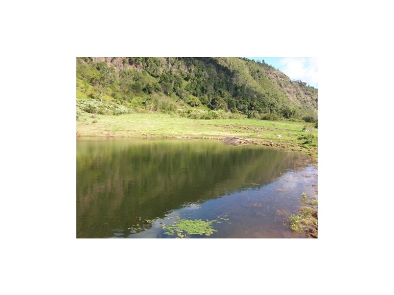 1604 Running Creek Road, Running Creek QLD 4287