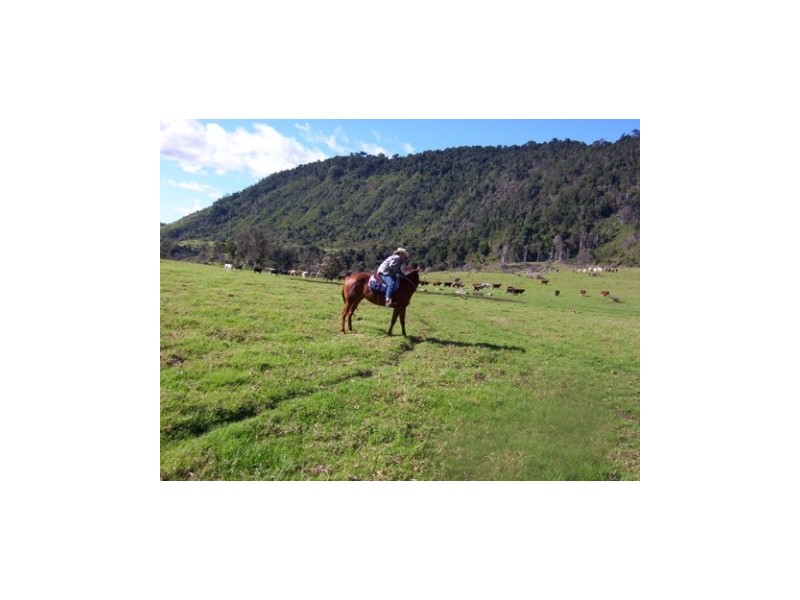 1604 Running Creek Road, Running Creek QLD 4287