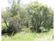 Allandale QLD 4310