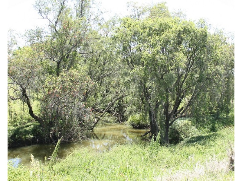 Allandale QLD 4310