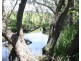 Allandale QLD 4310