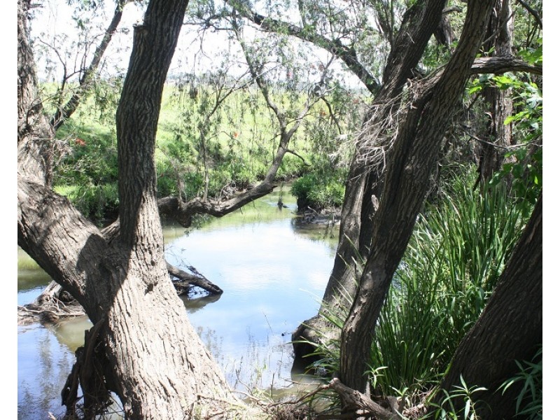 Allandale QLD 4310