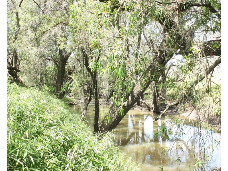 Allandale QLD 4310