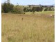 363 Veresdale Scrub School Road, Veresdale Scrub QLD 4285