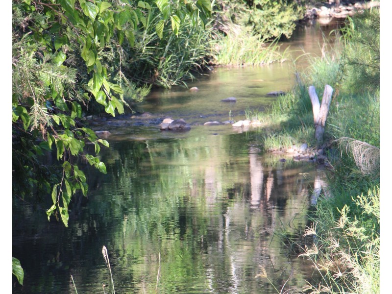 0 Widgee Creek Road, Hillview QLD 4285