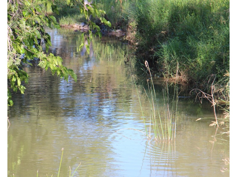 0 Widgee Creek Road, Hillview QLD 4285