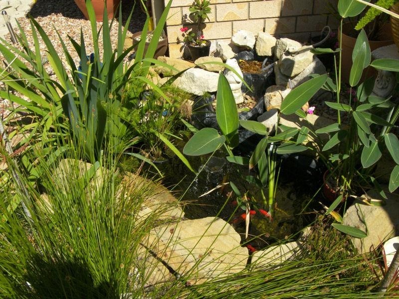 69-71 Scarvell Place, Kooralbyn QLD 4285