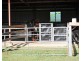 10822 Mount Lindesay Highway, Palen Creek QLD 4287