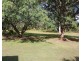 3096 Beaudesert Beeleigh Road, Birnam QLD 4285