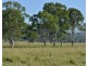 Tabragalba QLD 4285