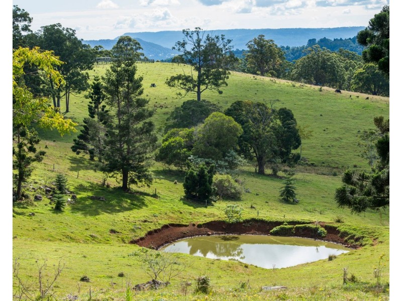 320 Tabletop Road, Canungra QLD 4275