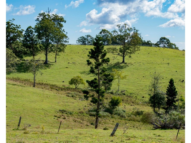 320 Tabletop Road, Canungra QLD 4275