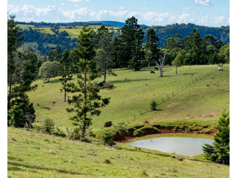 320 Tabletop Road, Canungra QLD 4275