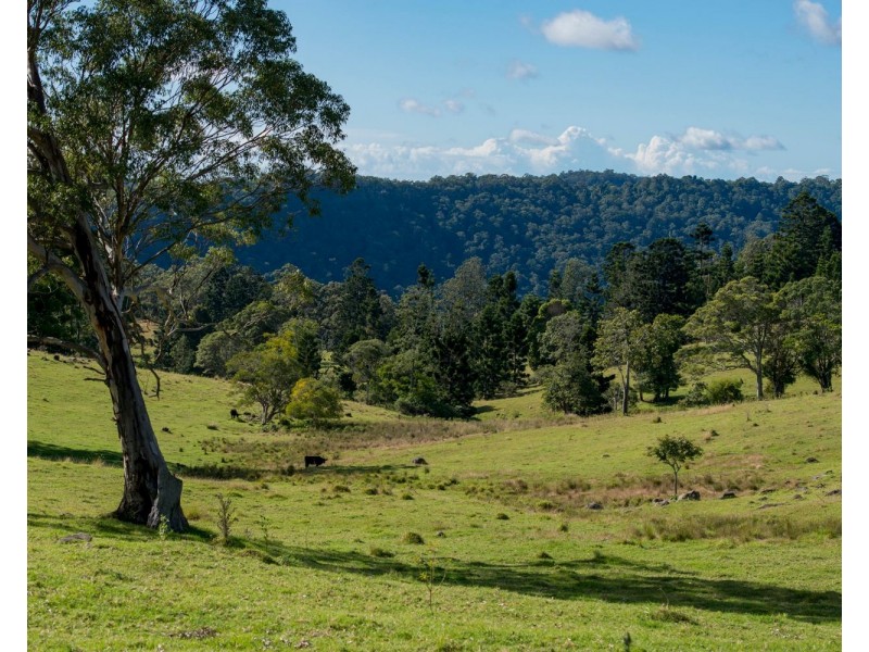 320 Tabletop Road, Canungra QLD 4275