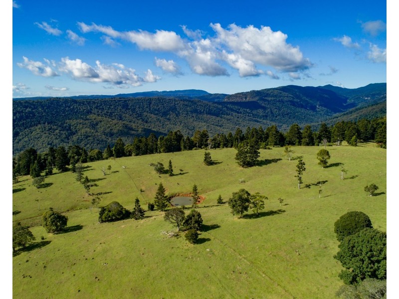 320 Tabletop Road, Canungra QLD 4275