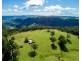 320 Tabletop Road, Canungra QLD 4275