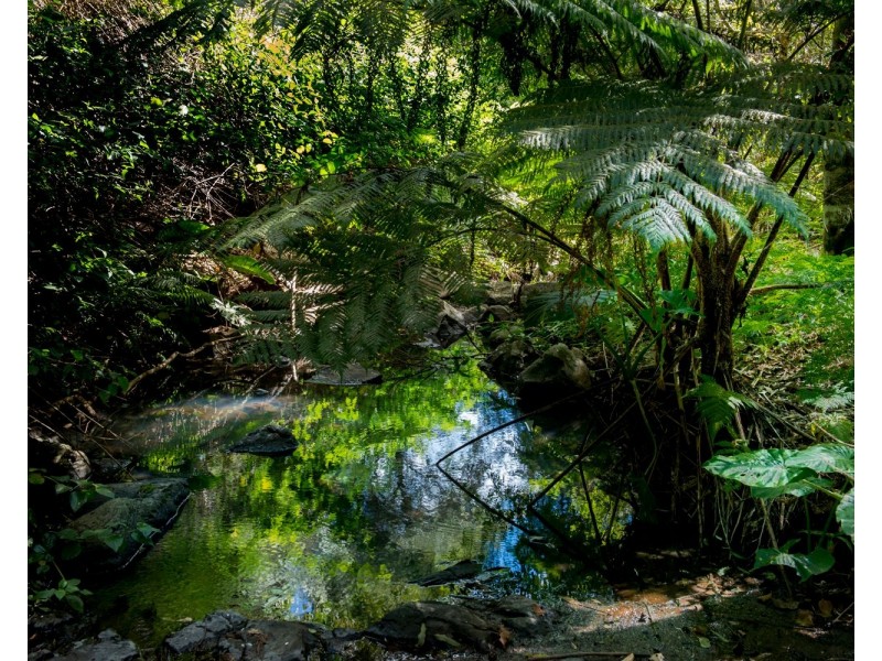 320 Tabletop Road, Canungra QLD 4275