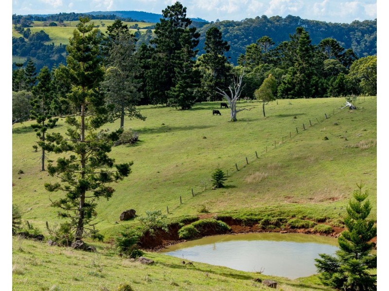 320 Tabletop Road, Canungra QLD 4275