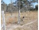 Croftby QLD 4310