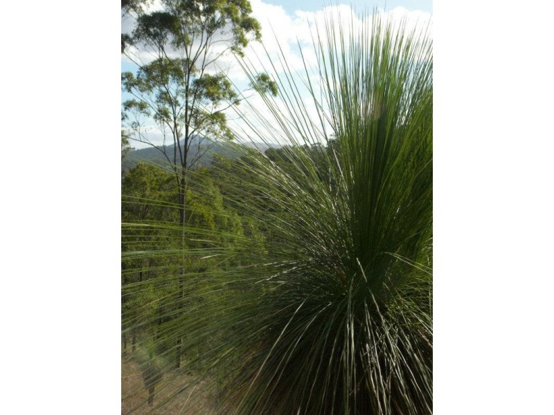 39-41 Collins Place, Kooralbyn QLD 4285