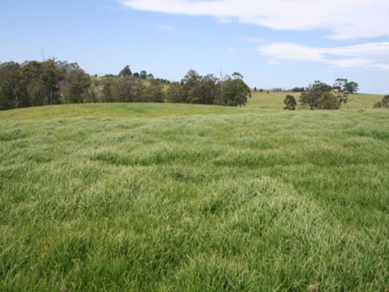 Lot 1, 2239 Beechmont Road, Beechmont QLD 4211