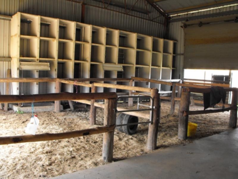 228 Oaky Creek Road, Beaudesert QLD 4285