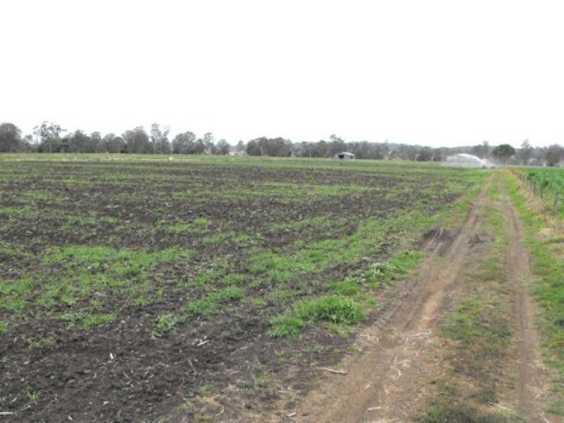 9521 Mount Lindesay Highway, Tamrookum QLD 4285