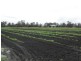 Tamrookum QLD 4285