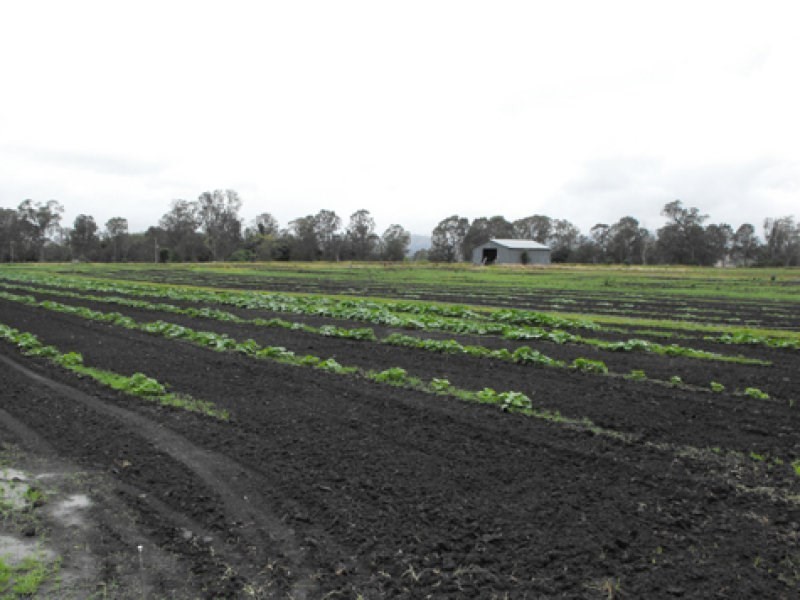 Tamrookum QLD 4285