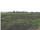 Tamrookum QLD 4285