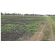 Tamrookum QLD 4285