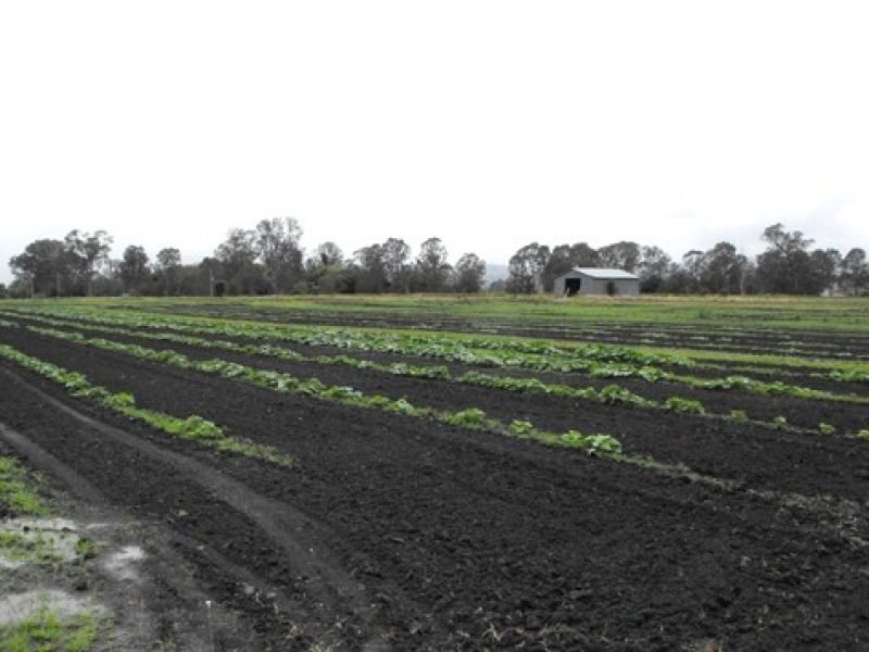Tamrookum QLD 4285