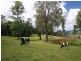 Lot 2 2239 Beechmont Road, Beechmont QLD 4211