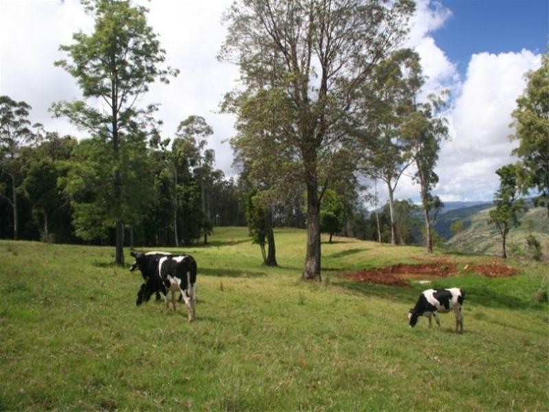 Lot 2 2239 Beechmont Road, Beechmont QLD 4211
