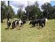 Lot 2 2239 Beechmont Road, Beechmont QLD 4211