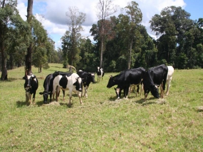 Lot 2 2239 Beechmont Road, Beechmont QLD 4211